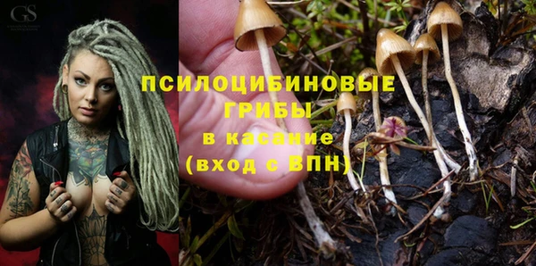 гидропоника Алзамай