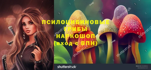 гидропоника Алзамай