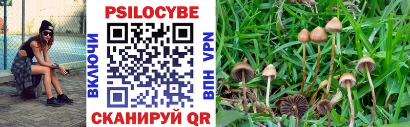 Галлюциногенные грибы Cubensis  Стародуб 