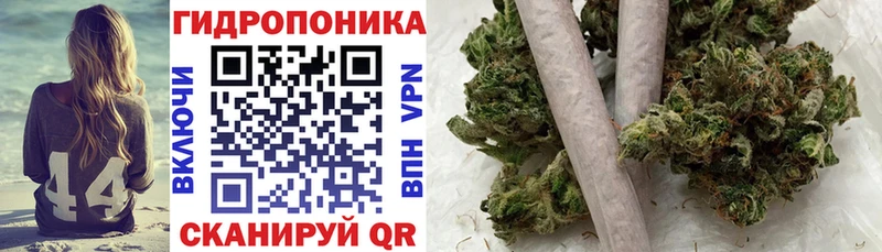 кракен   магазин продажи наркотиков  Стародуб  Бошки Шишки индика 
